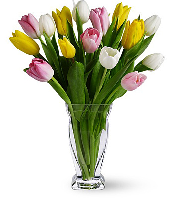 Teleflora's Tulip Treasure from Rees Flowers & Gifts in Gahanna, OH